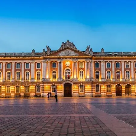 Loft Spacieux Et Cosy * Tuluza